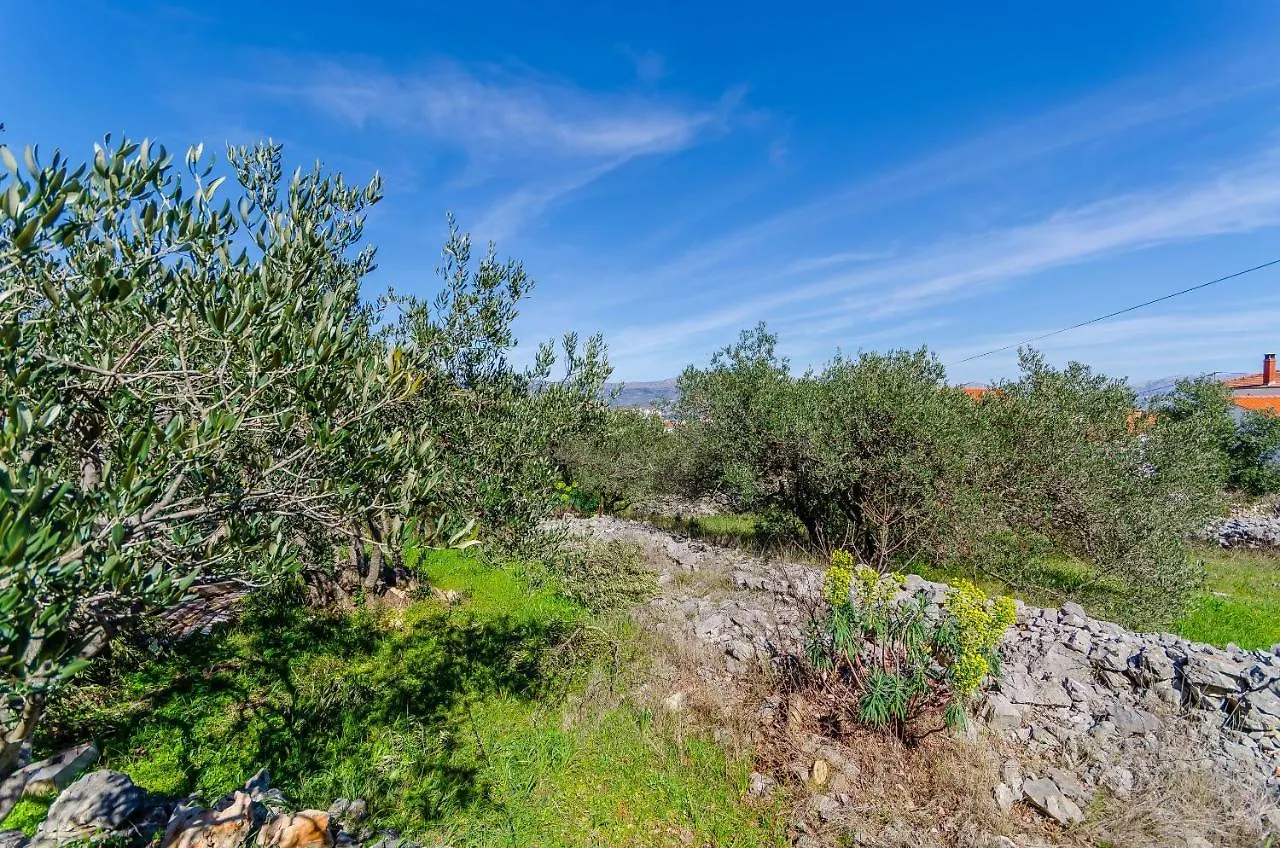 Apartments Stara Maslina Slatine 0*,  Croatia
